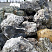 Kamenclub.ru: Черный гранит - кварцит фр. 100-500 мм.  купить в Иркутске мрамор гранит черный с белыми прожилками, серый, белый валун скальный колотый 7000 руб/т   фото КАМЕНЬ КЛУБ